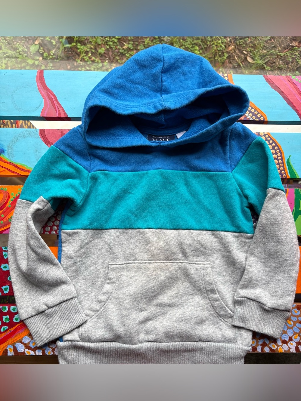 The Children's Place Hoodie Size 4T